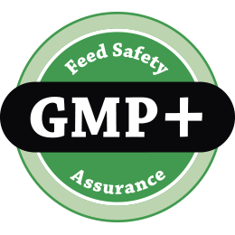 gmp_veritas_web_logolar