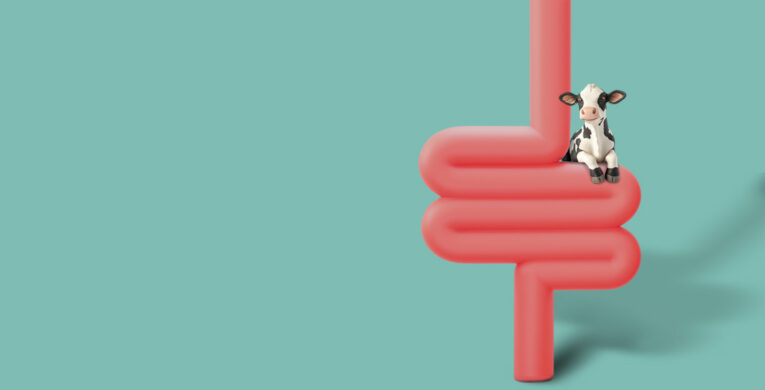 gut_health_rev_veritasvet_kategori_banner