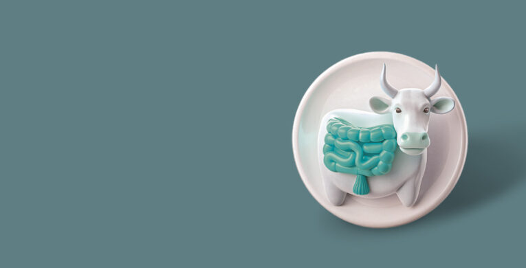 nutrition_rev_veritasvet_kategori_banner